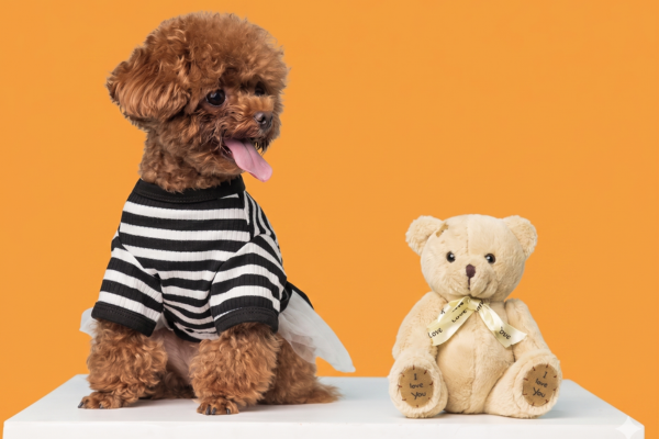 PET TOYS